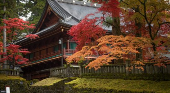 Mùa lá đỏ tuyệt vời tại Nikko
